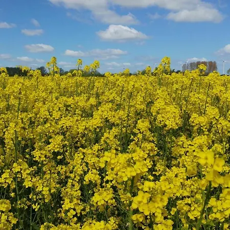 Haus Sonnenschein Nyaraló